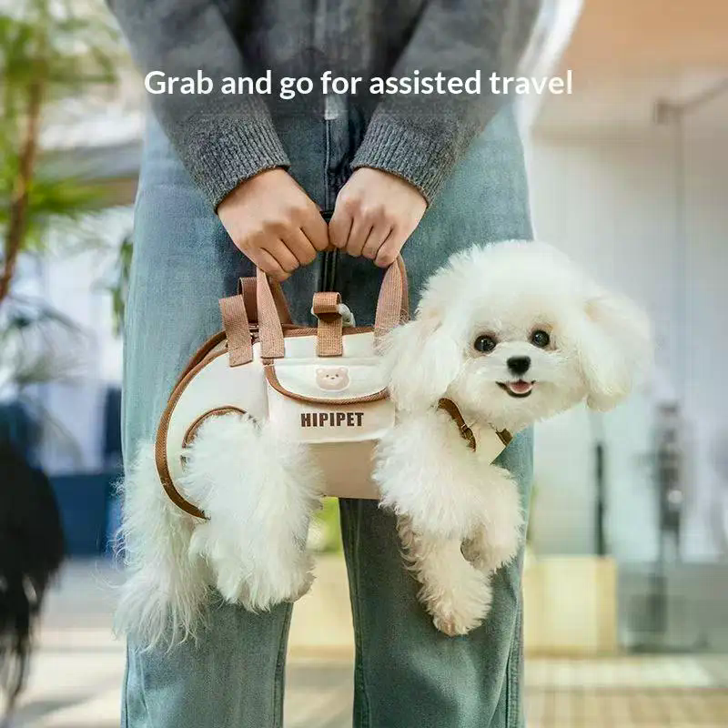 Portable Pets Outdoor Carrying - Edc Carry Clip review and price